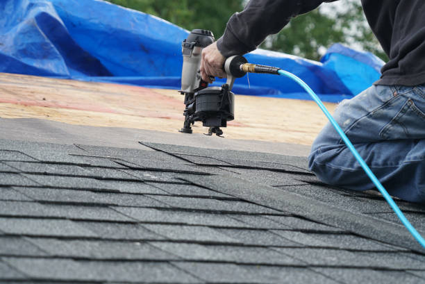 Best Shingle Roofing Installation  in Naples, FL